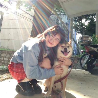 阿基米德的后宫茶